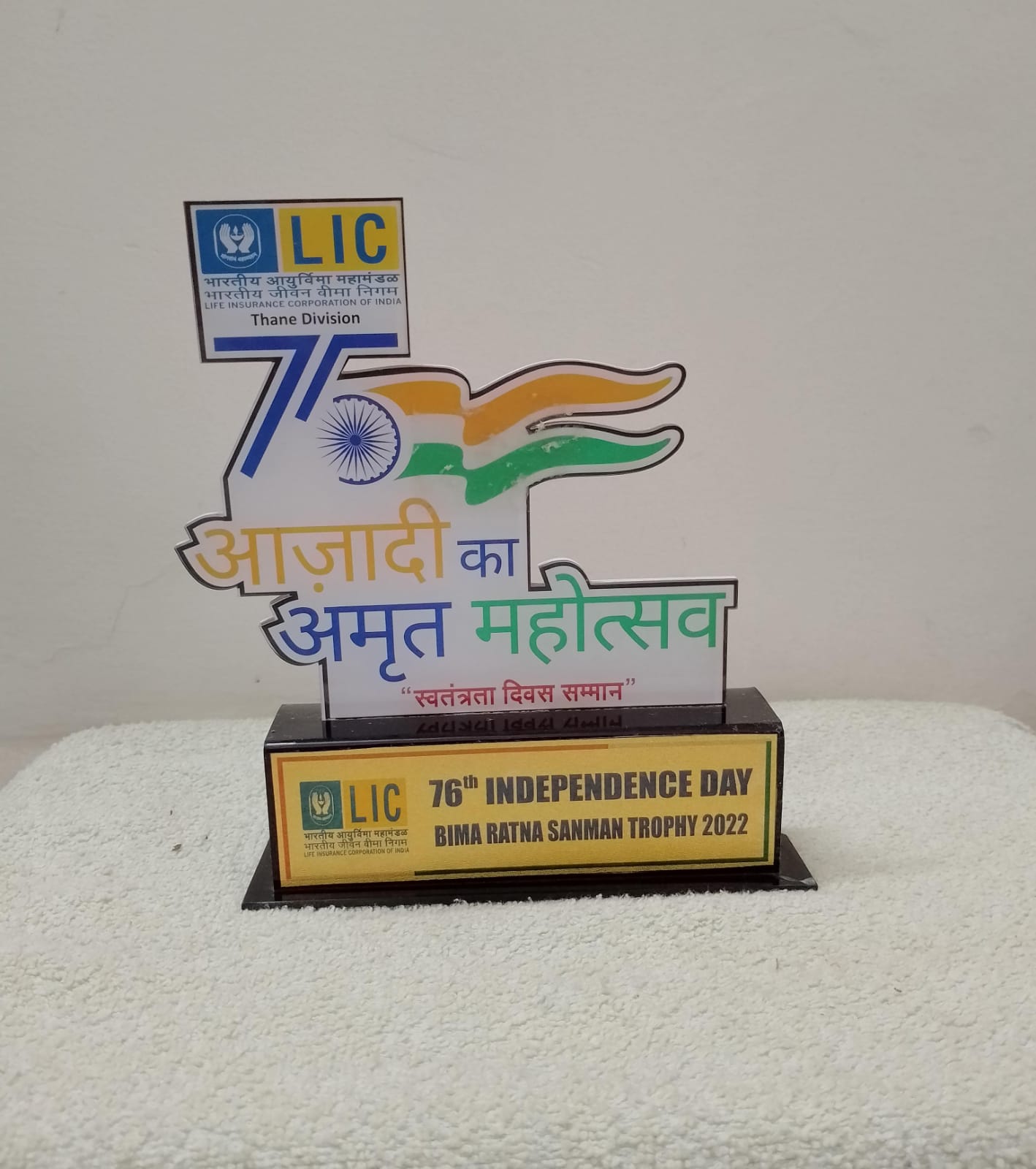 AMRUT MAHOTSAV ACHIVEMENTS